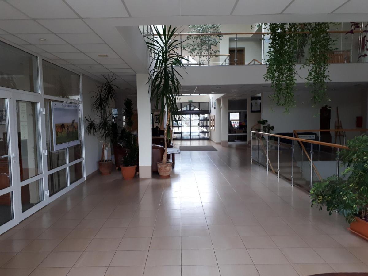 Pan Dom Pracy Tworczej W Wierzbie Wierzba Esterno foto